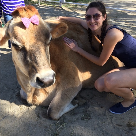 Meet your Posher, Holly - Picture 4 of 14